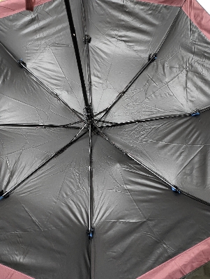 Picture of BMW Umbrella 8 rib auto open