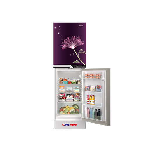 Picture of MYONE MY-175 Liter Frost Bottom Mount Perfume Lily Black Match Refrigerator