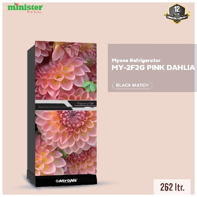 Picture of MYONE 262 Liter Frost Type Bottom Mount Refrigerator Pink Dahlia Black Full Match-262 (MY-2F2G)