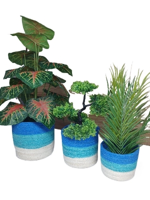 Picture of 3 Pieces set Plant Basket
