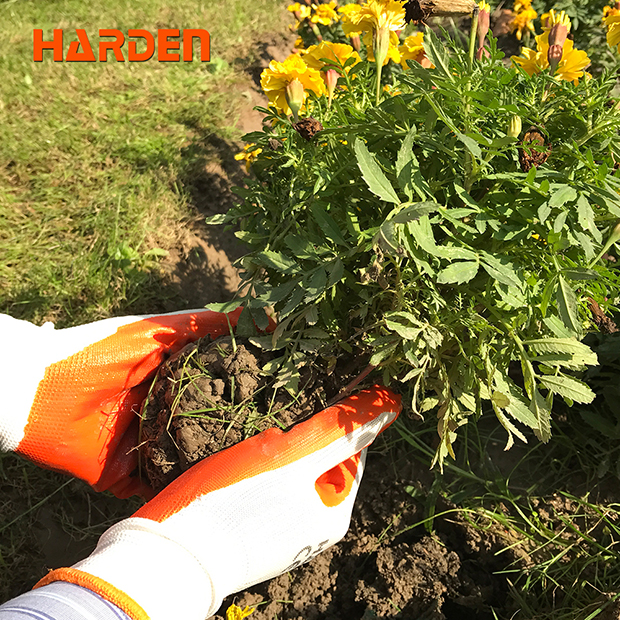 Picture of Harden 10" Hand Gloves For Garden Work 634102