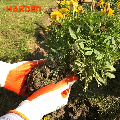 Picture of Harden 10" Hand Gloves For Garden Work 634102