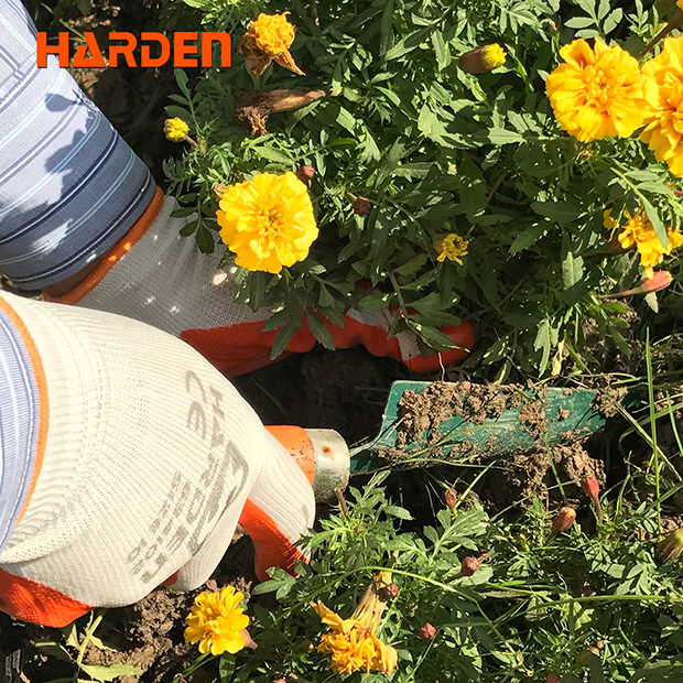 Picture of Harden 10" Hand Gloves For Garden Work 634102