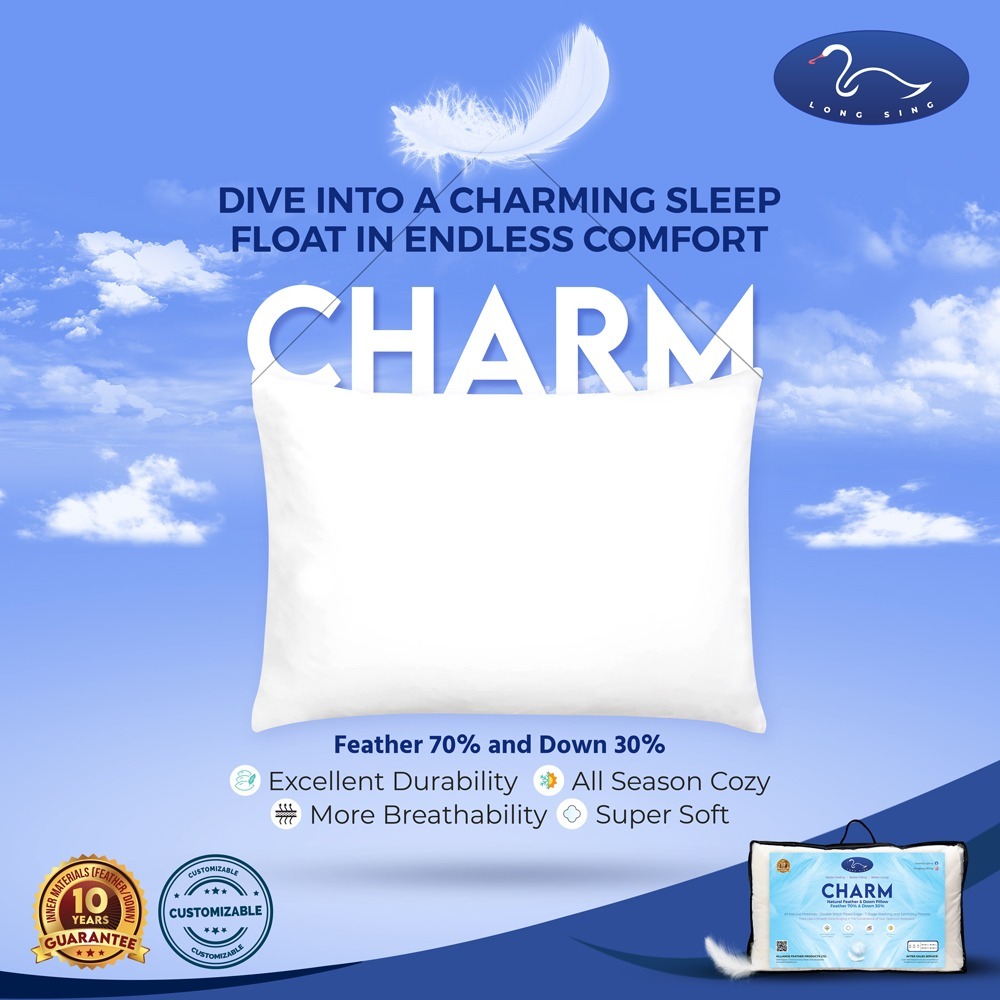 Buy Charm at Best Price In Bangladesh