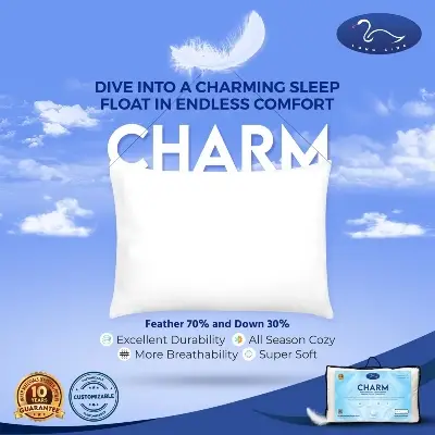 Buy Charm at Best Price In Bangladesh