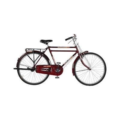 Picture of Bicyle Durjoy Double Bar 26" traditional