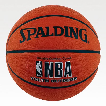 Picture of Spalding NBA Indoor/Outdoor Basketball Platinum - Official Size 7