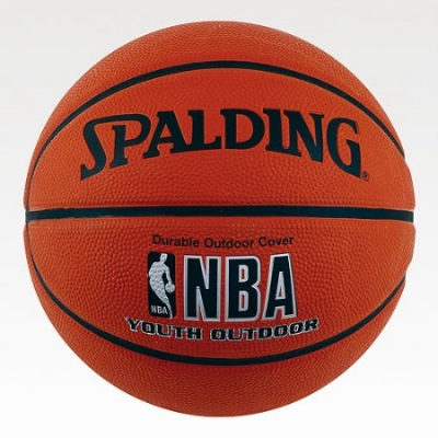 Picture of Spalding NBA Indoor/Outdoor Basketball Platinum - Official Size 7