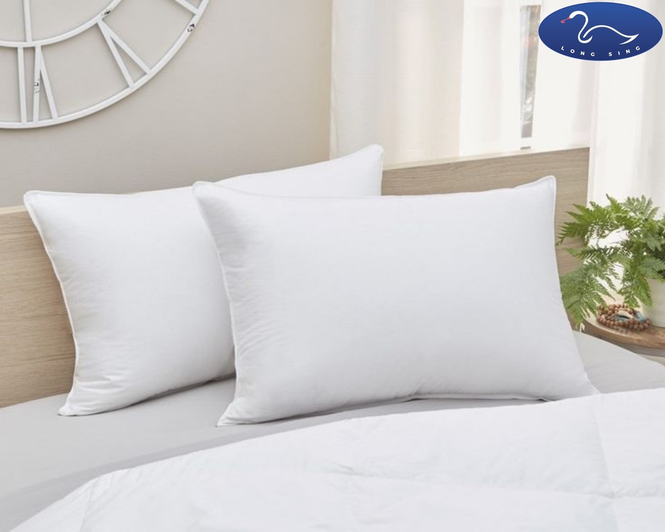 Buy Wonder at Best Price In Bangladesh