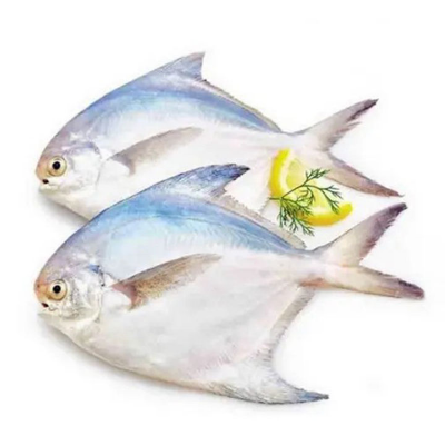 Buy Bengal Rupchada fish 500g  at Best Price In Bangladesh