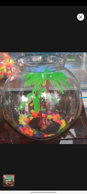 Picture of Aqurium Glass Bowl For Fish - 6 Inch