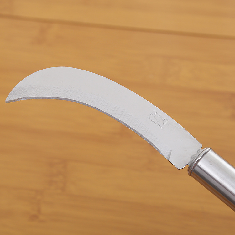 Picture of Kitchen Cooking Vegetables Chopping tools