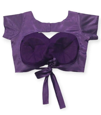 Picture of Purple Color Blouse design for women