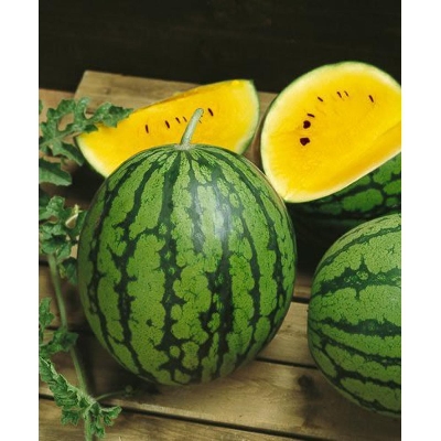 Picture of Watermelon Yellow 07 pcs Seeds - Hybrid all season organic seed