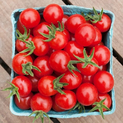 Picture of Cherry Tomato Red Color - 20 pcs Seed F1 Hybrid