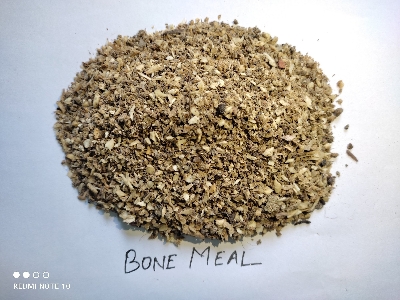 Picture of Bone Powder- 0.50 kg  (হাড়ের গুড়া) 500 Gram Organic Harer Gura For Plant