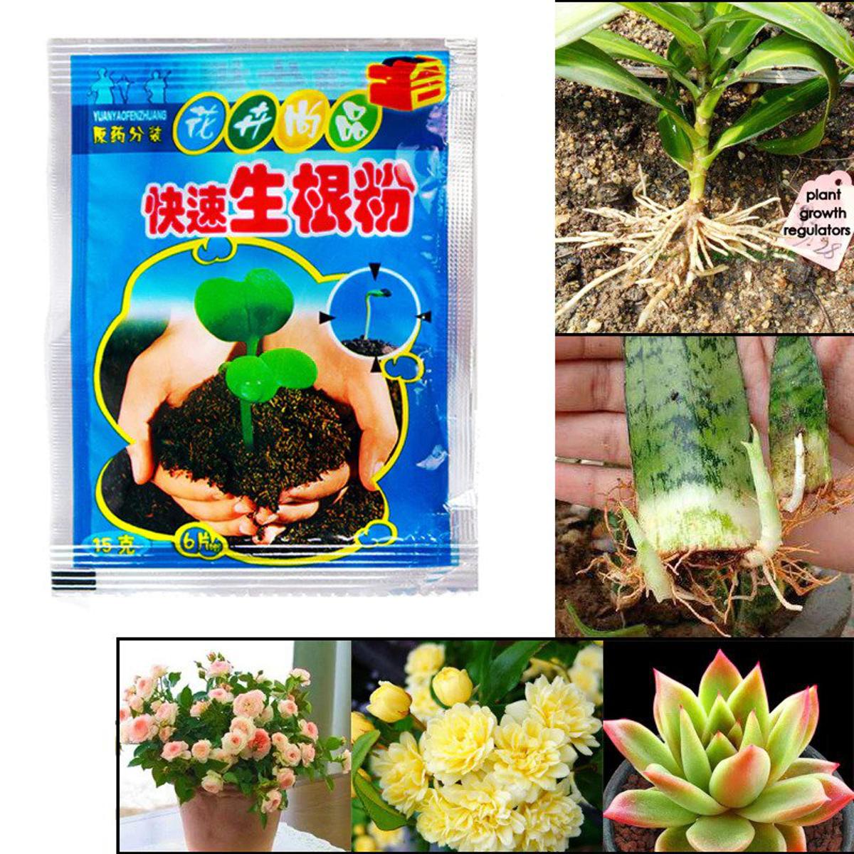 Picture of Plant Rapid Growth Root Hormone Imported China - 01 Packet