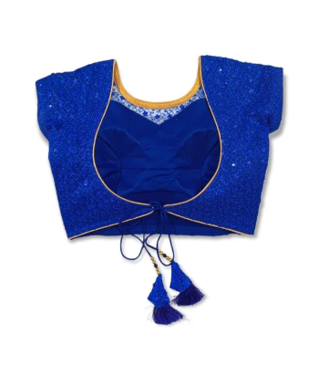 Picture of New Princess Cut Blue Color Blouse For Women