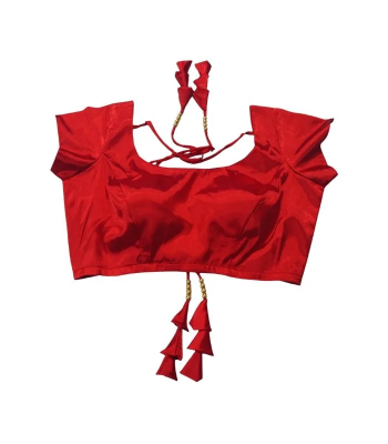 Picture of Latest Princess Cut Backless Blouse Design For Women