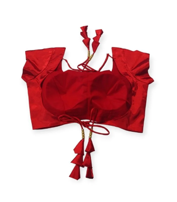 Picture of Latest Princess Cut Backless Blouse Design For Women