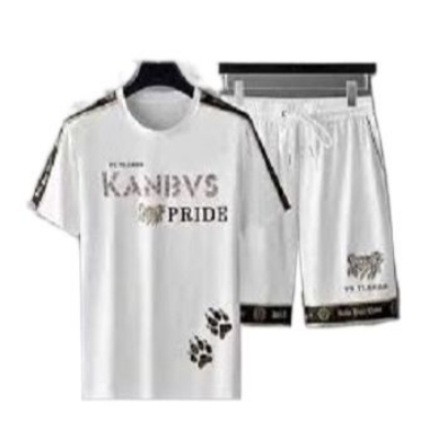 Picture of New stylist Combo Half T-Shirt & 3 Questar Pant for Men