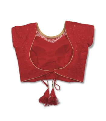 Picture of Red Color Princess Cut Blouse For Women