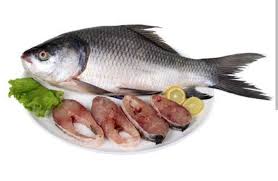 Buy Katla Fish 1 kg at Best Price In Bangladesh