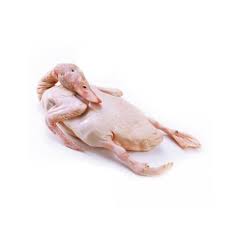 Buy Bengal meat Local duck at Best Price In Bangladesh