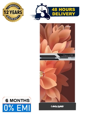 Picture of MYONE 302 liter Frost Type Top Mount Refrigerator Dahlia Black Match (MY-3X2G)