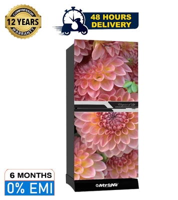 Picture of MYONE 262 Liter Frost Type Bottom Mount Refrigerator Pink Dahlia Black Full Match-262 (MY-2F2G)