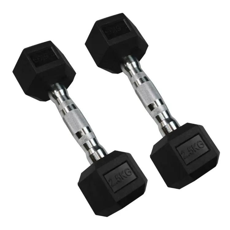 Buy  2.5kg Hex Dumbbell 2 pcs    At Best Price in Bangladesh