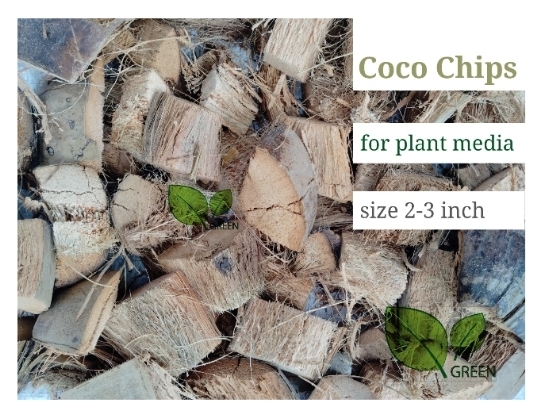 Picture of Coco chips for plants 01 kg dry ready to use