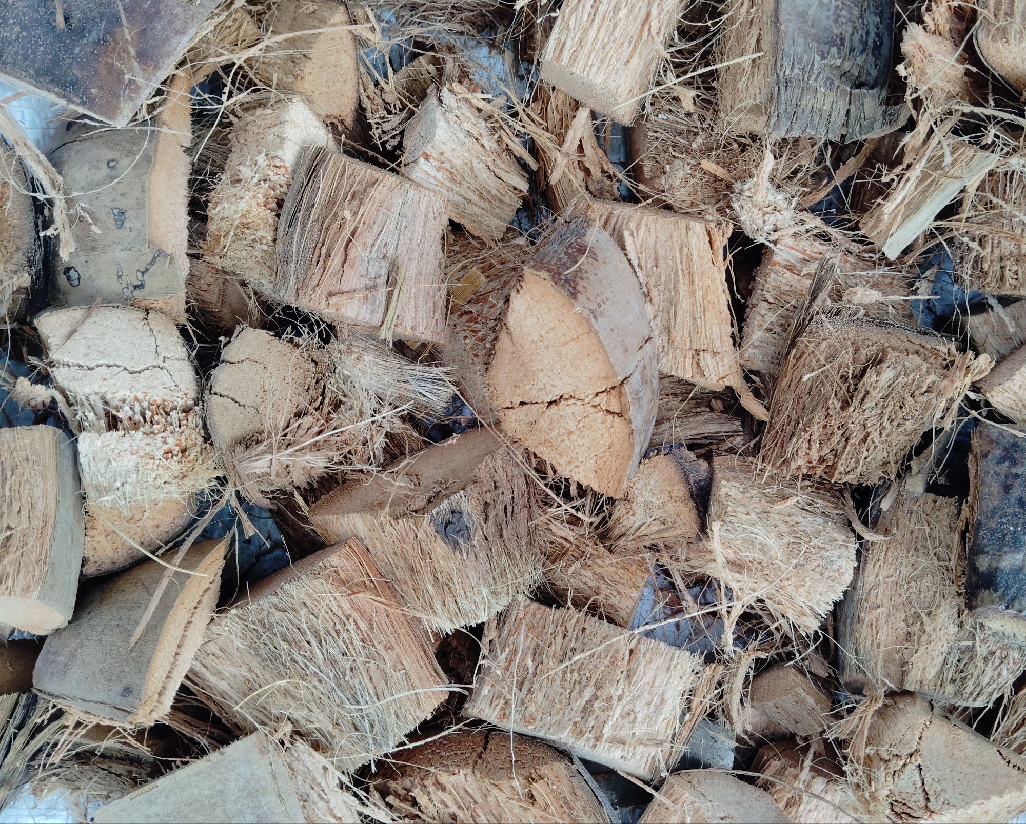 Picture of Coco chips for plants 01 kg dry ready to use