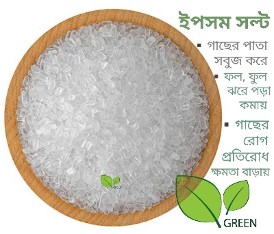 Picture of Epsom salt for plants 500 gm / 1 kg (Magnesium sulphate)