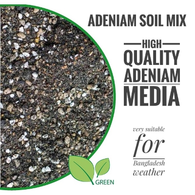Picture of Adeniam Garden Soil Mix - 01 kg