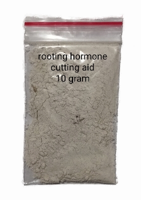 Picture of Cutting Aid rooting promoter 10 grams repack