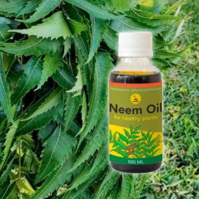Picture of Neem oil for plant 100 ml natural insect trap