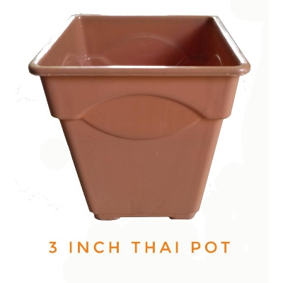 Picture of Planter pot 3 inch Thai 6 pieces