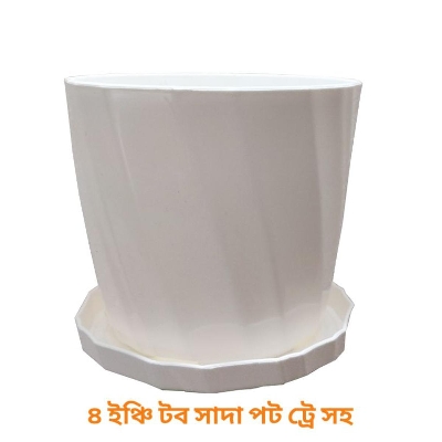 Picture of Planter pot camellia white with tray 4 inch 03 pieces