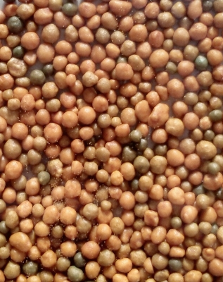 Picture of NPK Osmocote Fungicide Root Hormone package