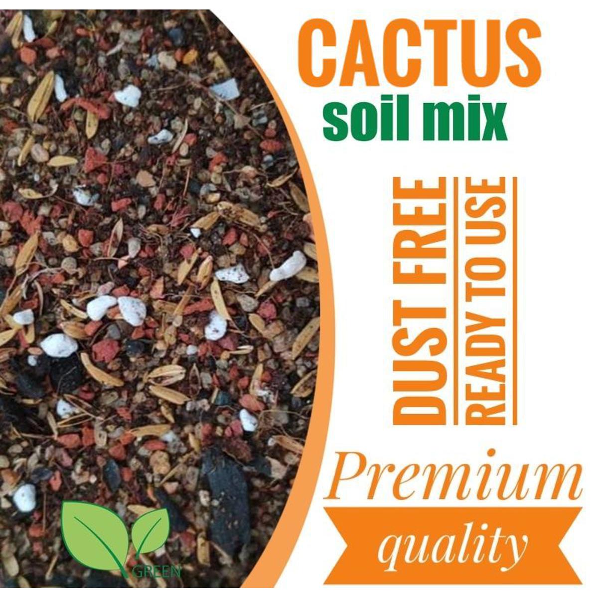 Picture of Cactus soil mix 01 kg Premium Quality Dust Free