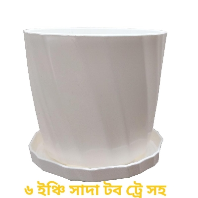 Picture of Planter pot 6 inch camellia white with tray 02 pieces