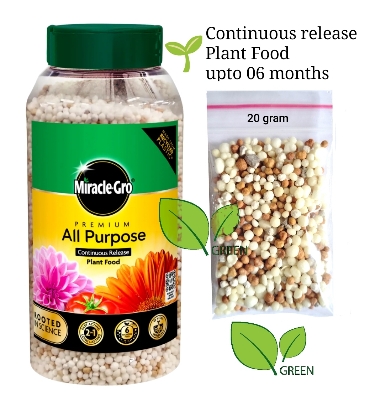 Picture of Miracle Grow Osmocote premium 20 gram repack UK product