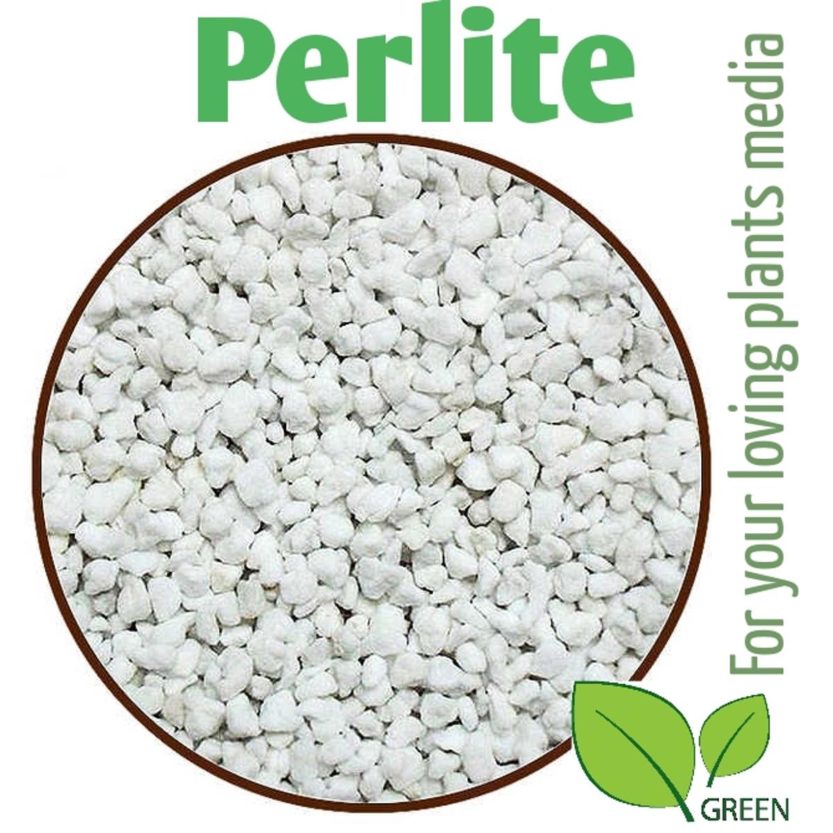 Picture of Perlite Soil for Plants - Natural - 50 gm repack