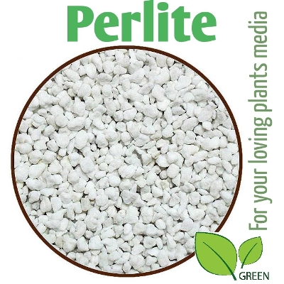 Picture of Perlite Soil for Plants - Natural - 50 gm repack