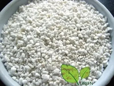 Picture of Perlite Soil for Plants - Natural - 50 gm repack
