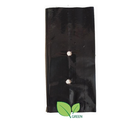 Picture of Nursery Black poly 6x6 inch 50 pcs folding system