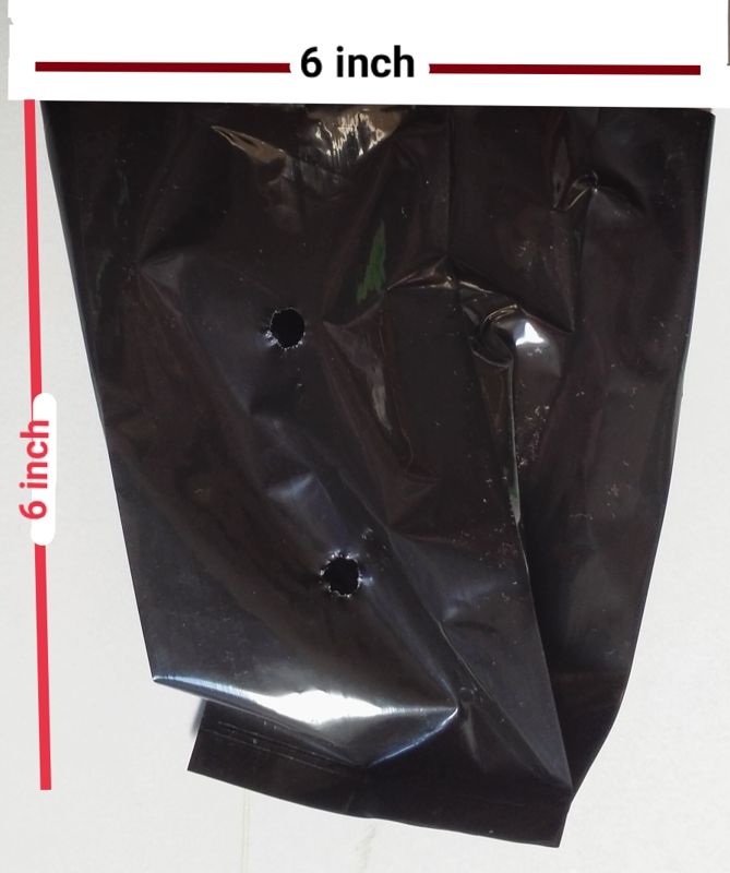 Picture of Nursery Black poly 6x6 inch 50 pcs folding system