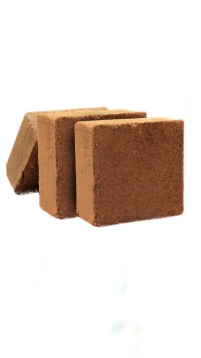 Picture of Coco peat  01 kg ready to use