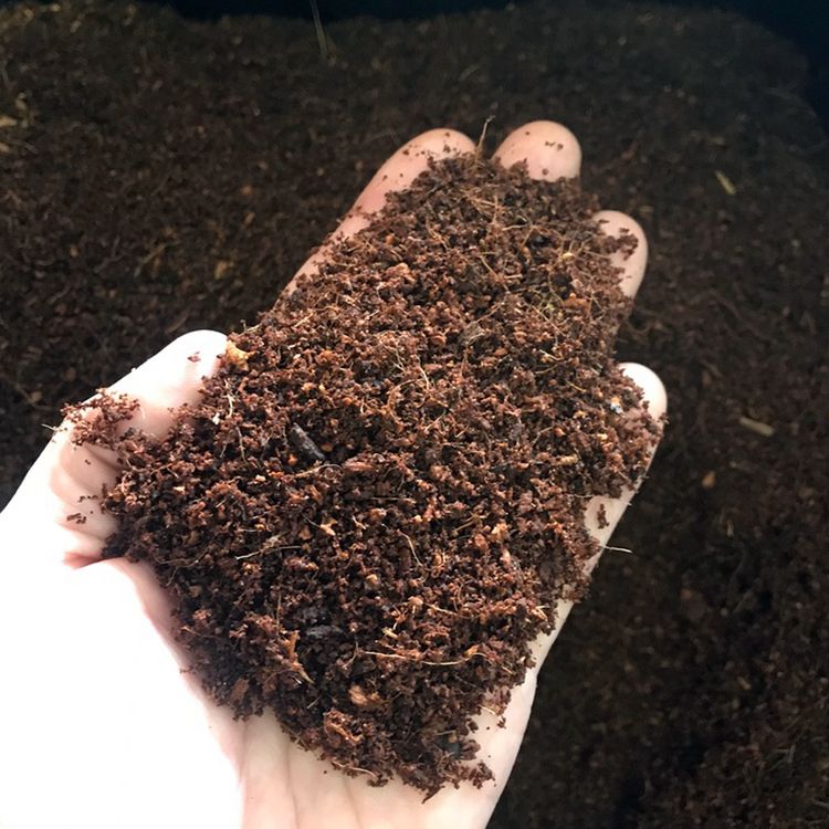 Picture of Coco peat  01 kg ready to use